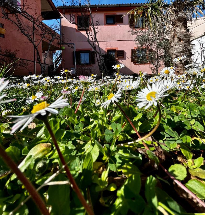 Appartement Elentoni à Fažana Extérieur photo